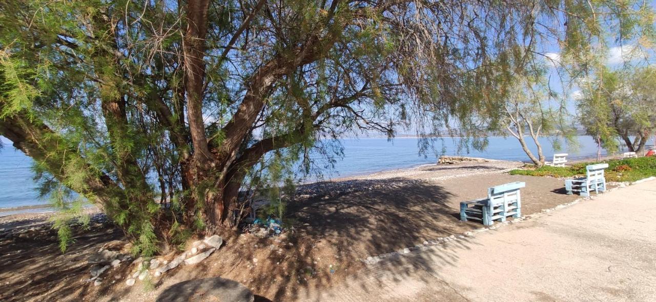 Vikos Beach Apartments Paralia Irion Экстерьер фото