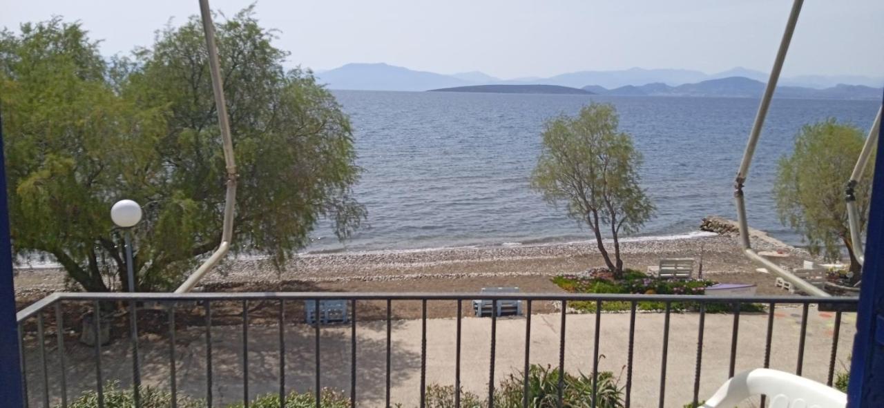 Vikos Beach Apartments Paralia Irion Экстерьер фото