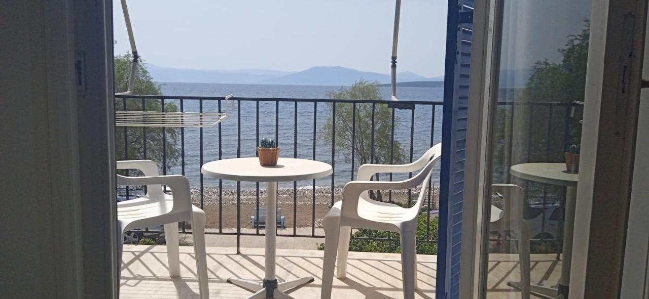 Vikos Beach Apartments Paralia Irion Экстерьер фото