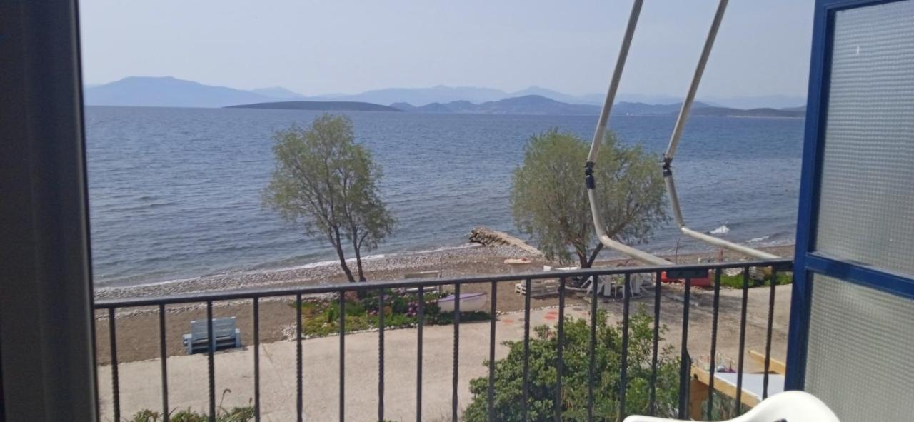 Vikos Beach Apartments Paralia Irion Экстерьер фото