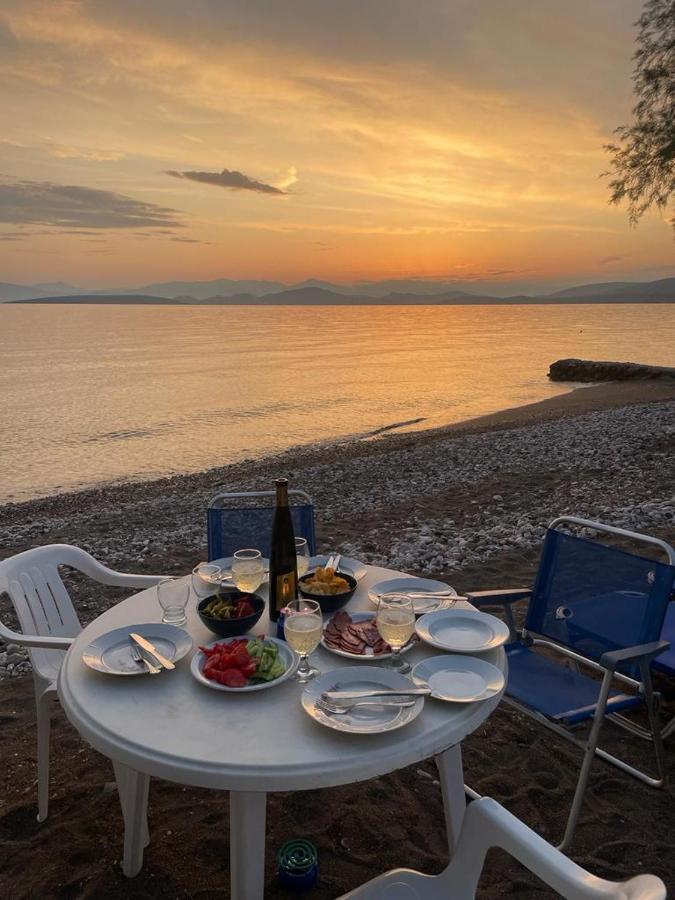 Vikos Beach Apartments Paralia Irion Экстерьер фото